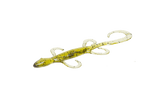 Zoom Lizard
