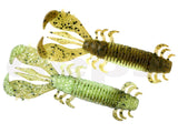 Deps Ms Craw