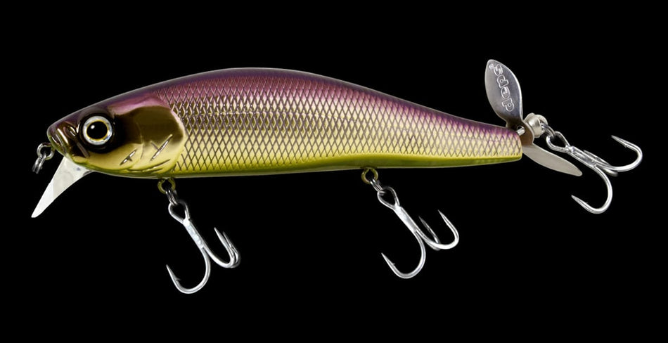 Deps Spiralminnow