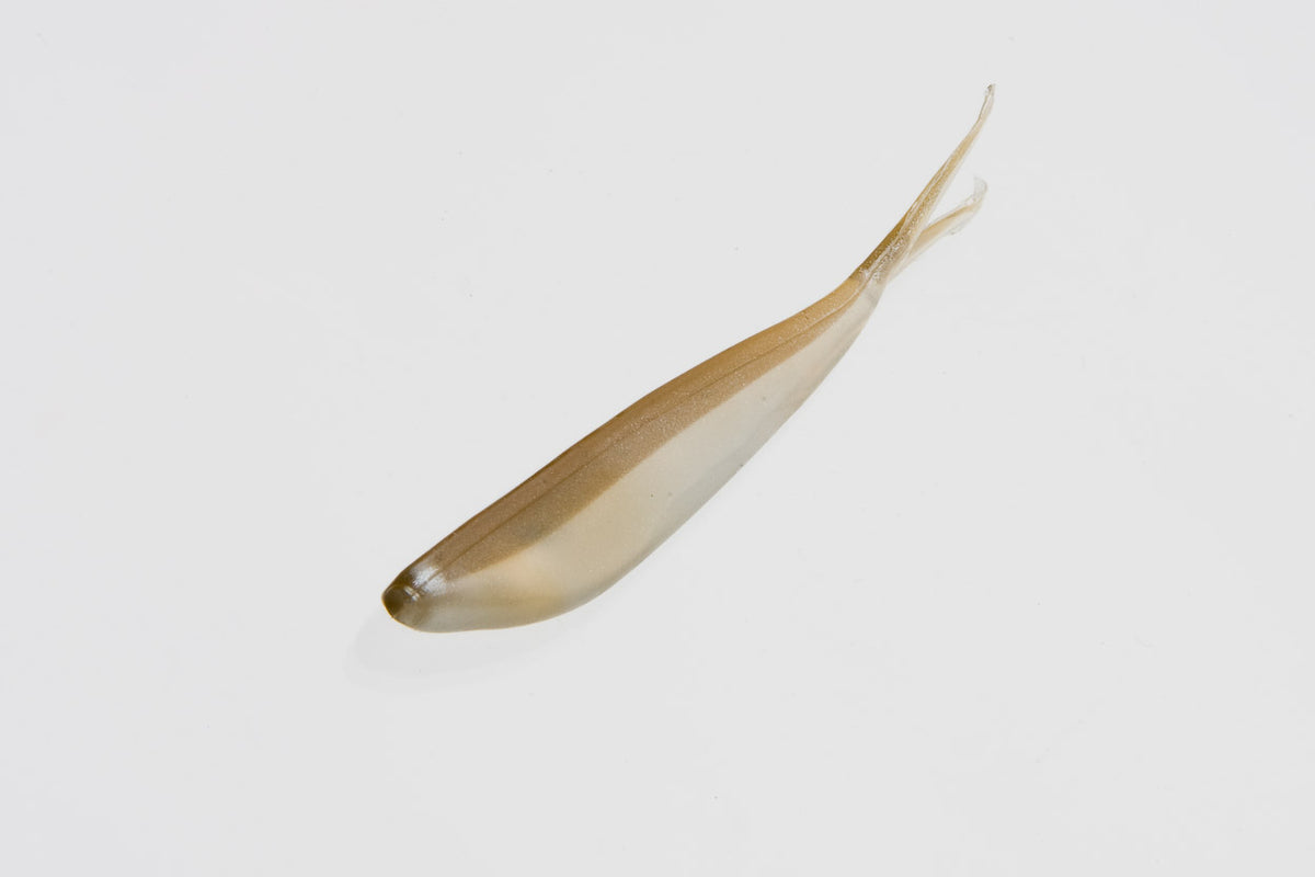 Zoom Tiny Fluke