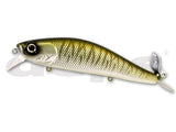 Deps Spiralminnow
