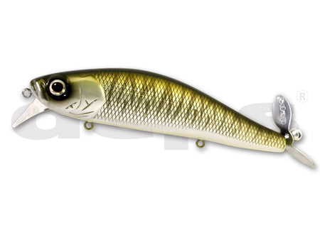 Deps Spiralminnow