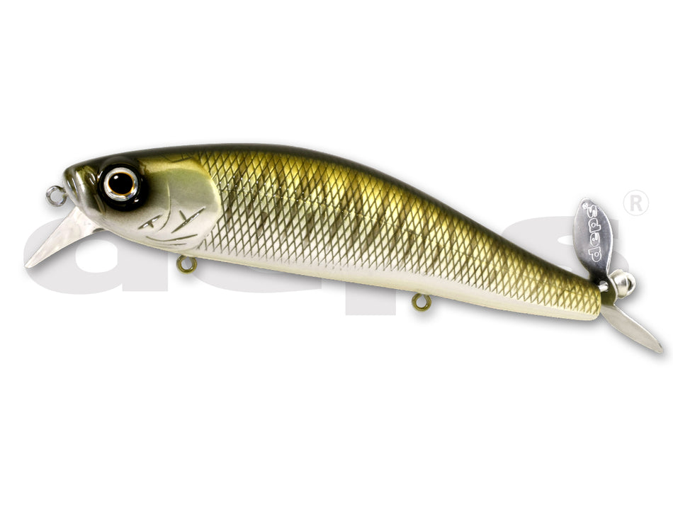 Deps Spiralminnow