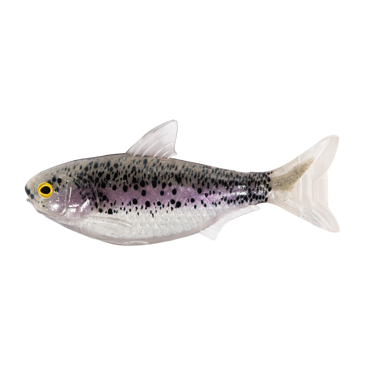LiveTarget Shad