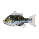 LiveTarget Sunfish