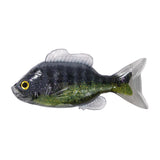 LiveTarget Sunfish