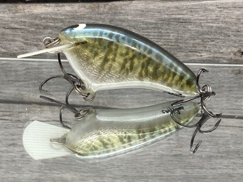 Black Label Balsa Hickster