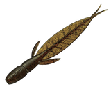 Evergreen C-4 Leech
