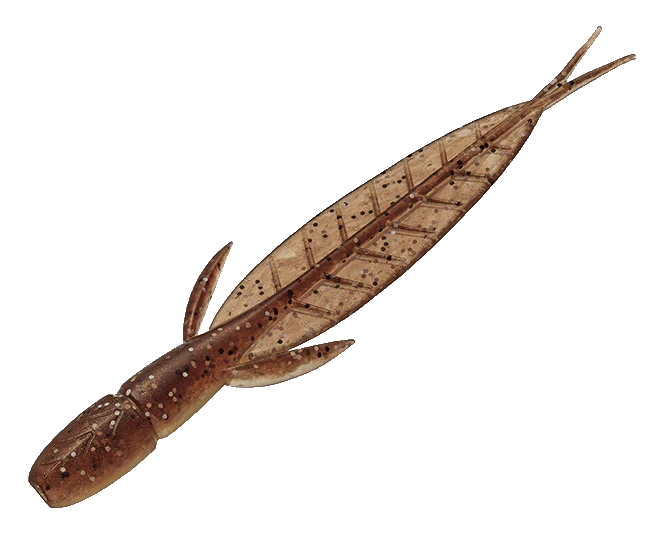 Evergreen C-4 Leech