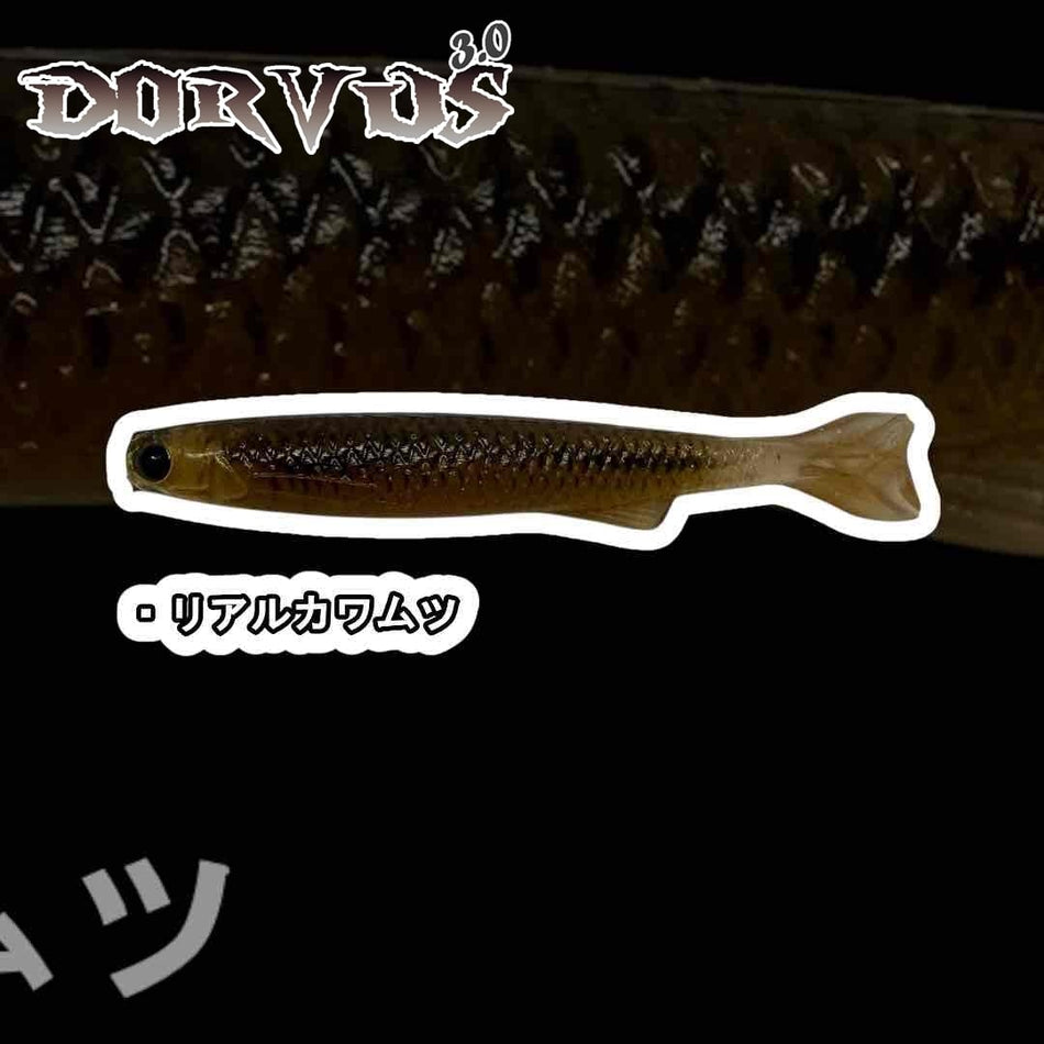 YG.labo Dorvus Real 3.0