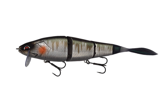 Galapagos Grace 210L