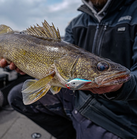 Rapala Rippin' Rap