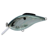 Bill Lewis Hammer Flat