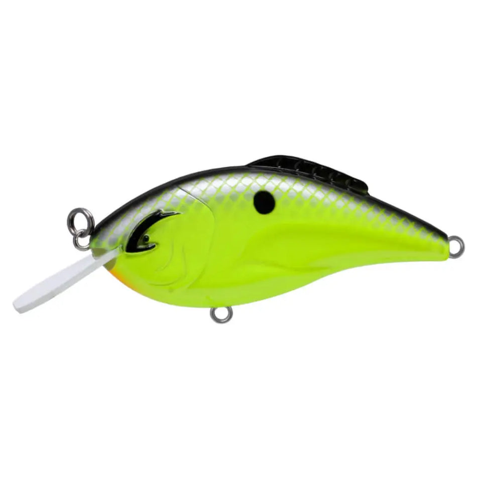 Bill Lewis Hammer Flat