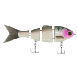 Bucca Brand Lil Baby Bull Shad