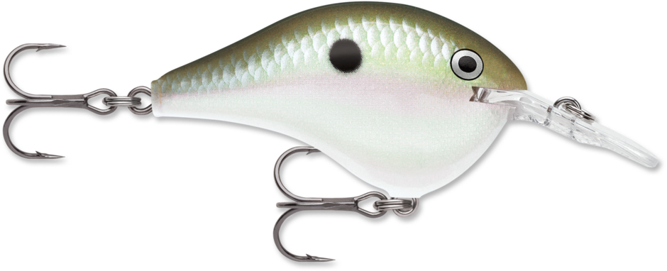 RAPALA DT SERIES CRANKBAITS DT4-12