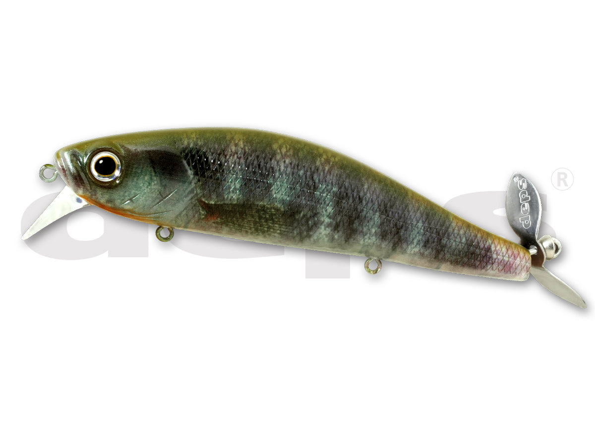 Deps Spiralminnow