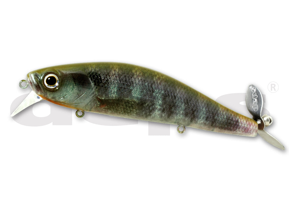Deps Spiralminnow