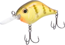 Bill Lewis Mid-Range MR12