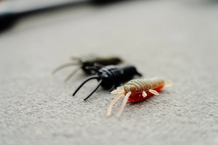 Great Lakes Finesse 2.3" Ned Bug