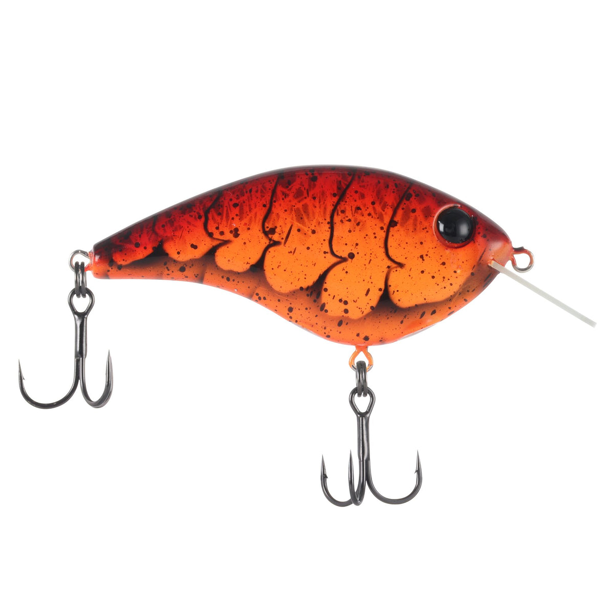 Berkley Frittside X Jr.