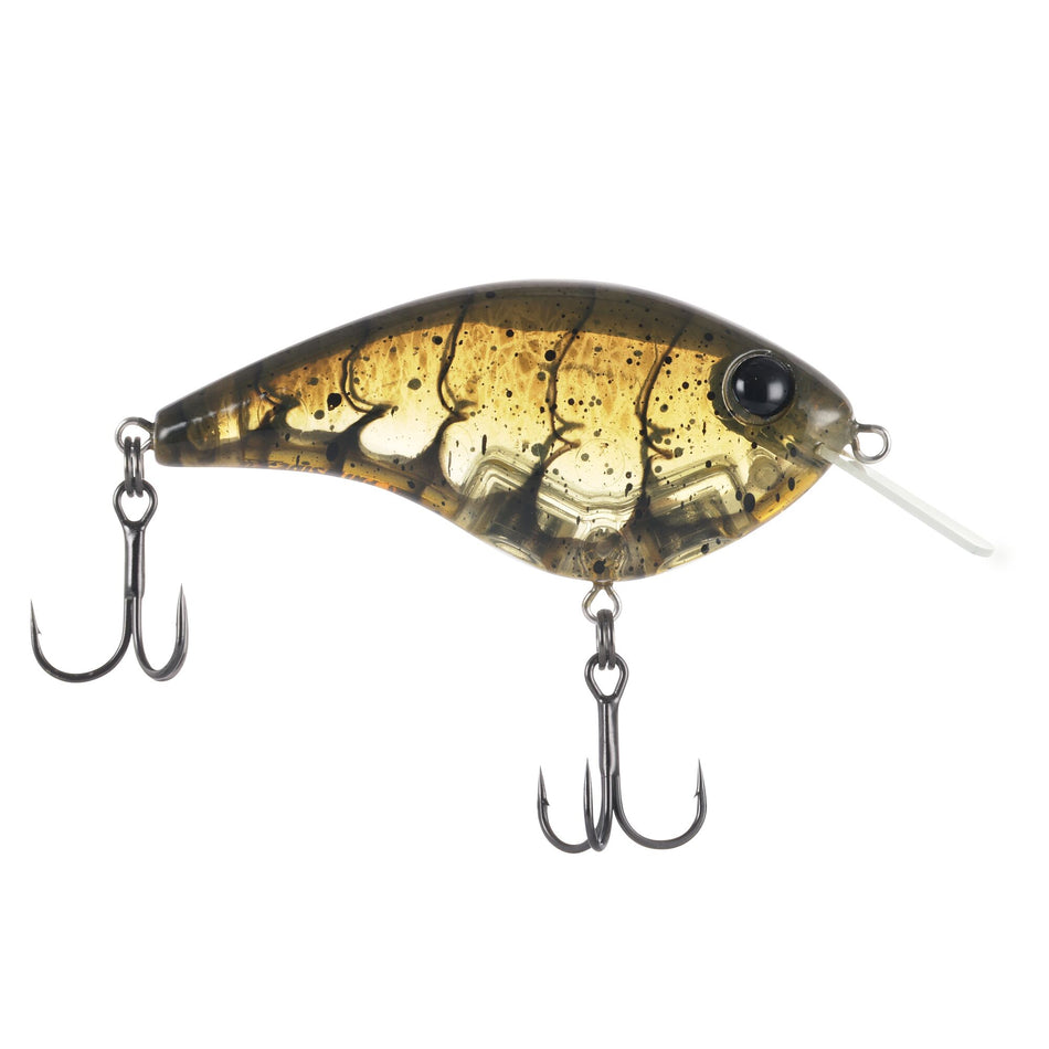 Berkley Frittside X Jr.