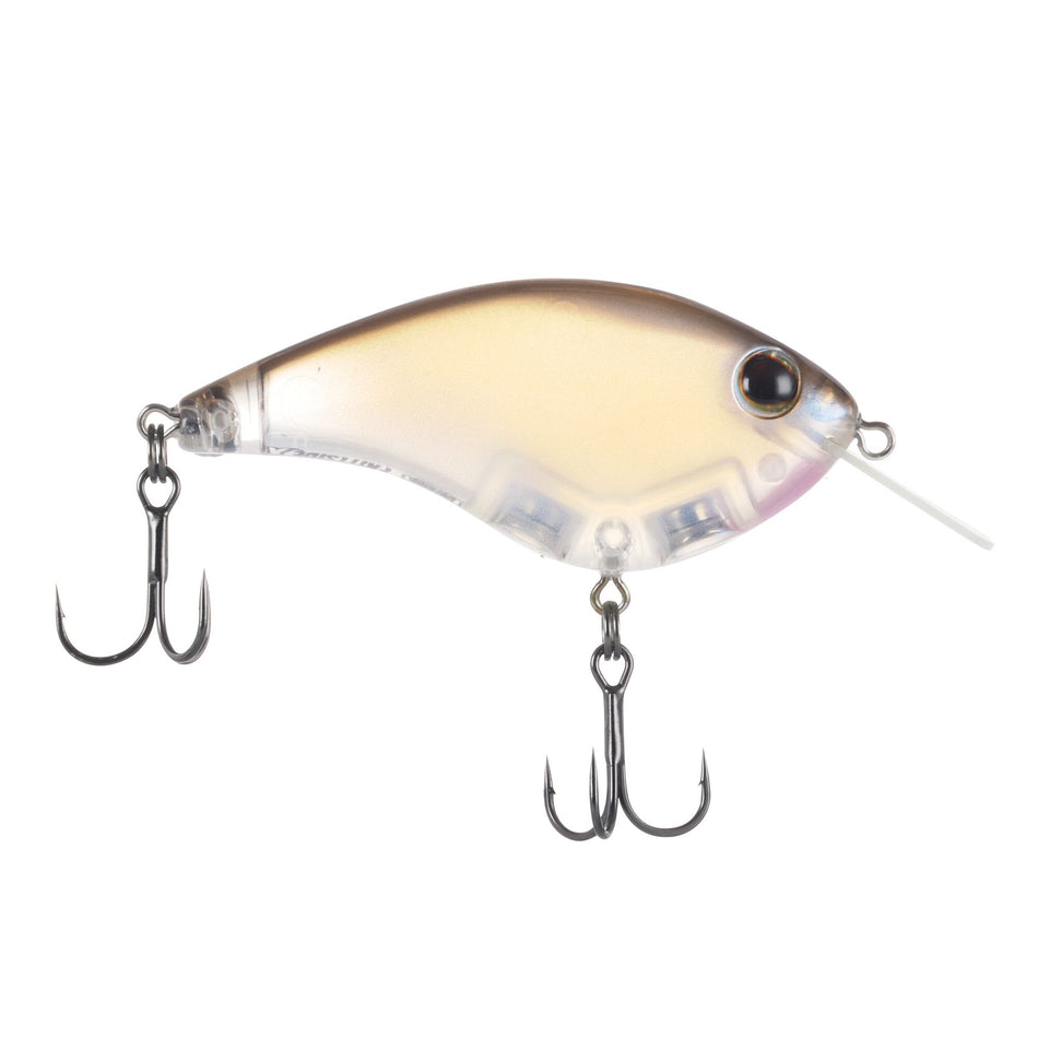 Berkley Frittside X Jr.
