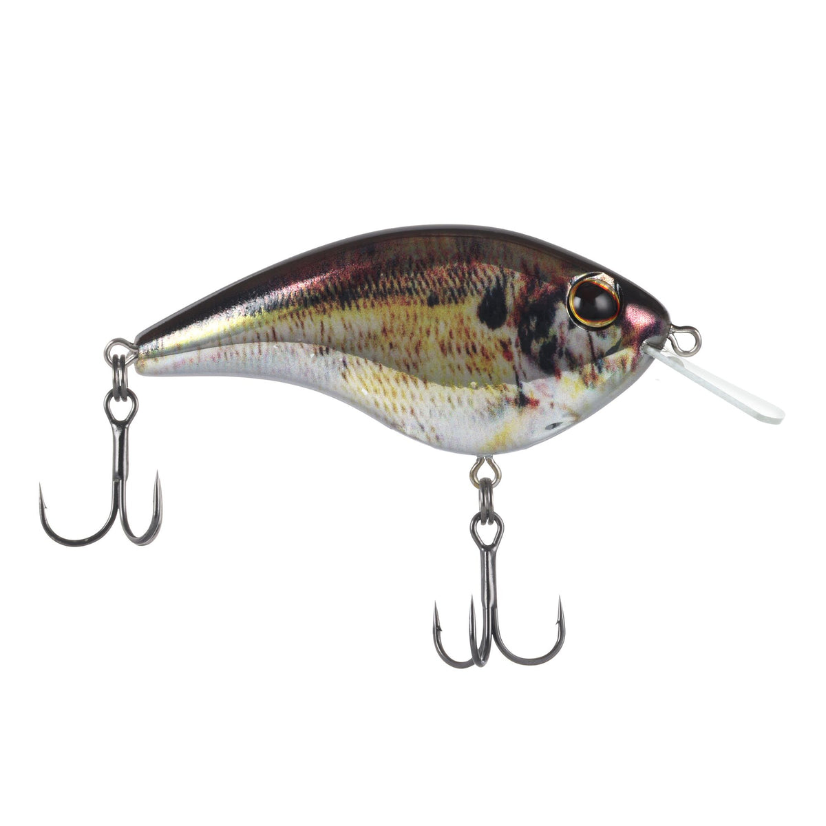 Berkley Frittside X Jr.