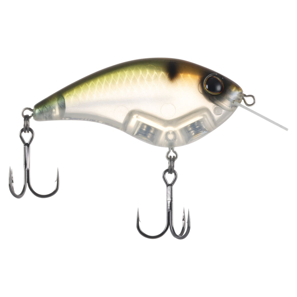Berkley Frittside X Jr.