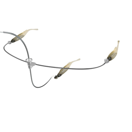 Berkley Triple Minnow Rig Kit