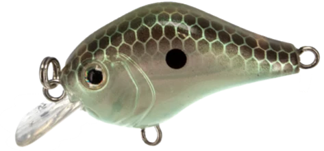 BILL LEWIS GNAT TINY CRANK