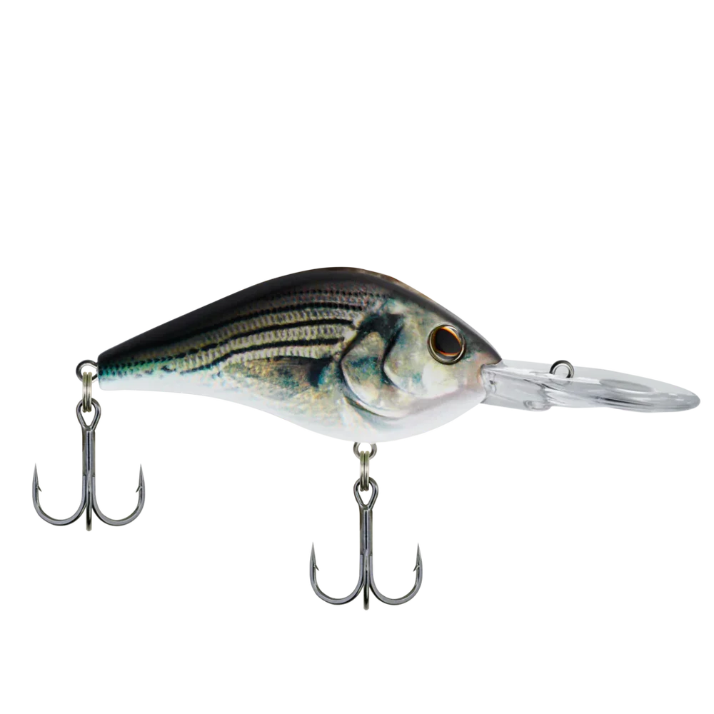 Berkley Dredger - Copperstate Tackle