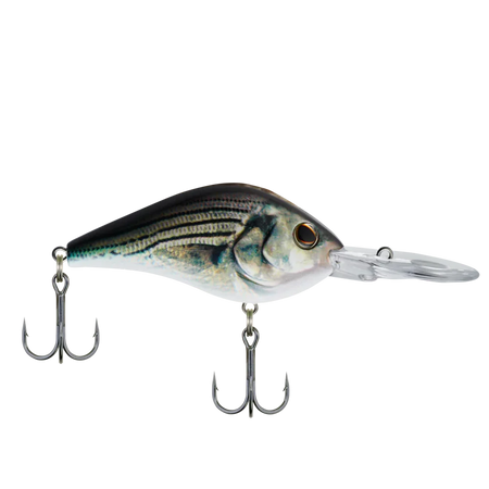 Berkley Dredger - Copperstate Tackle
