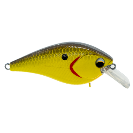 BassMooch Bones 1.5