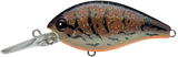 Evergreen CR-8 Crankbaits