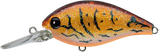Evergreen CR-8 Crankbaits