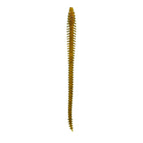 6TH Sense Boosa 6.5 Shakey Worm