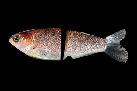 KGB Carp