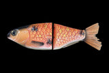 KGB Carp