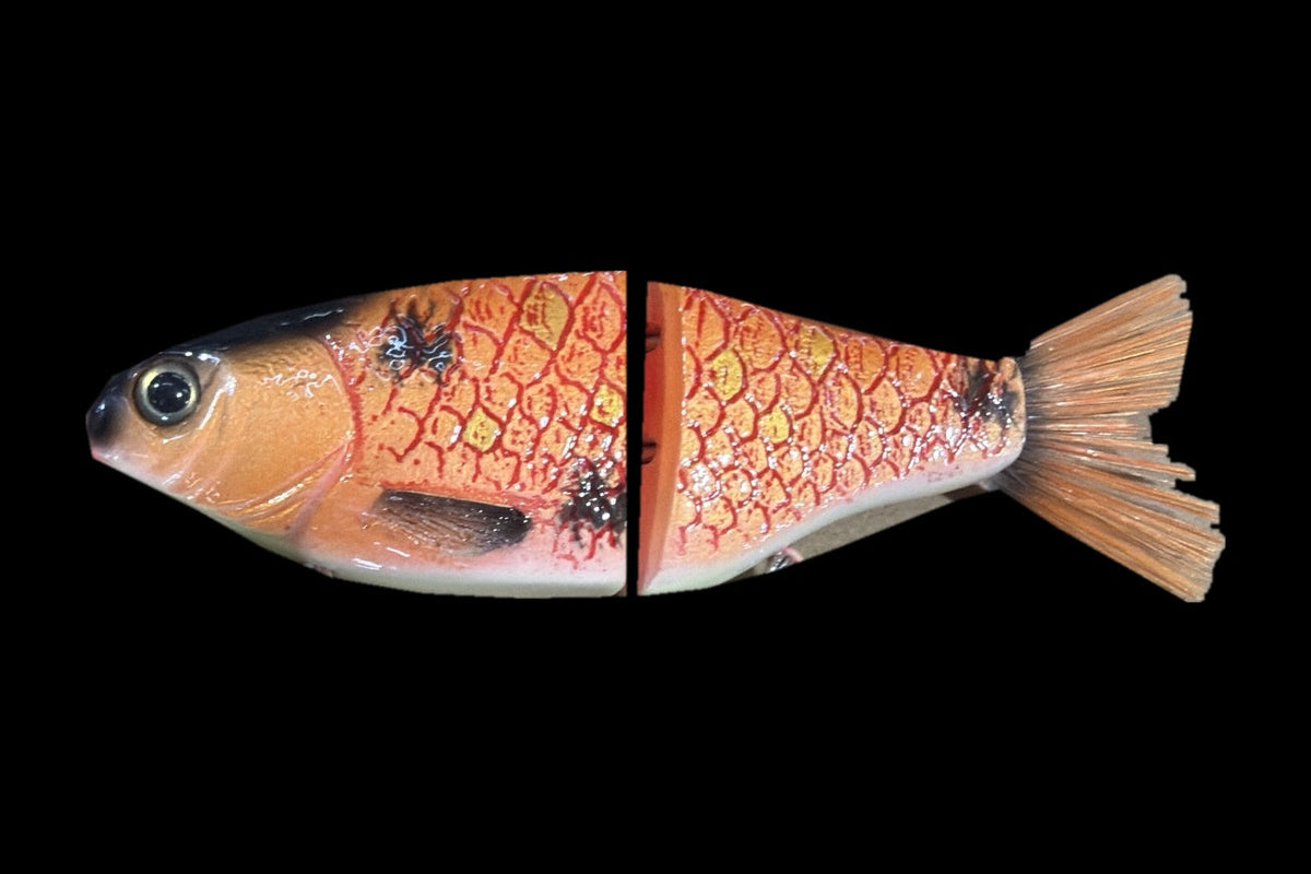 KGB Carp
