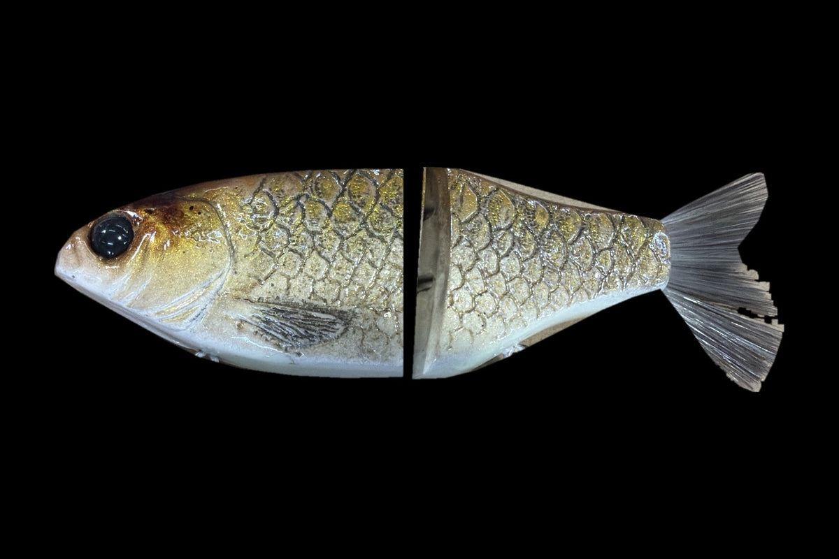 KGB Carp