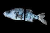 KGB Full Size OG Crappie