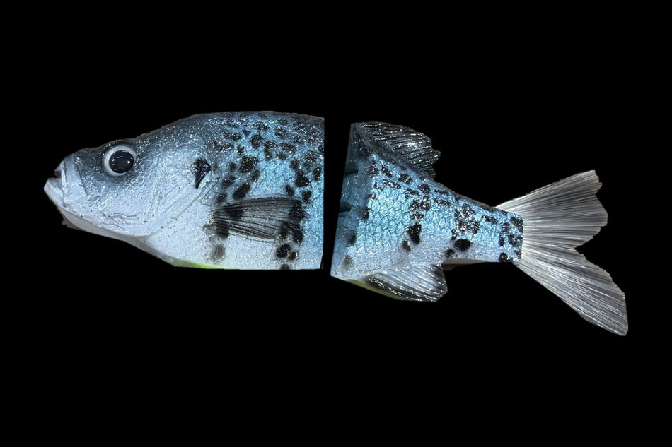 KGB Full Size OG Crappie