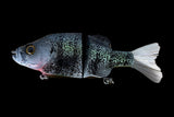 KGB 6" Mini Crappie