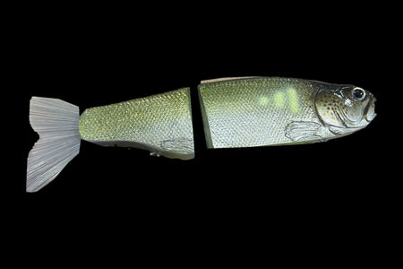 KGB Trout