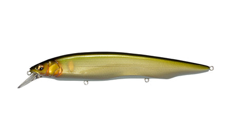 Megabass Kanata