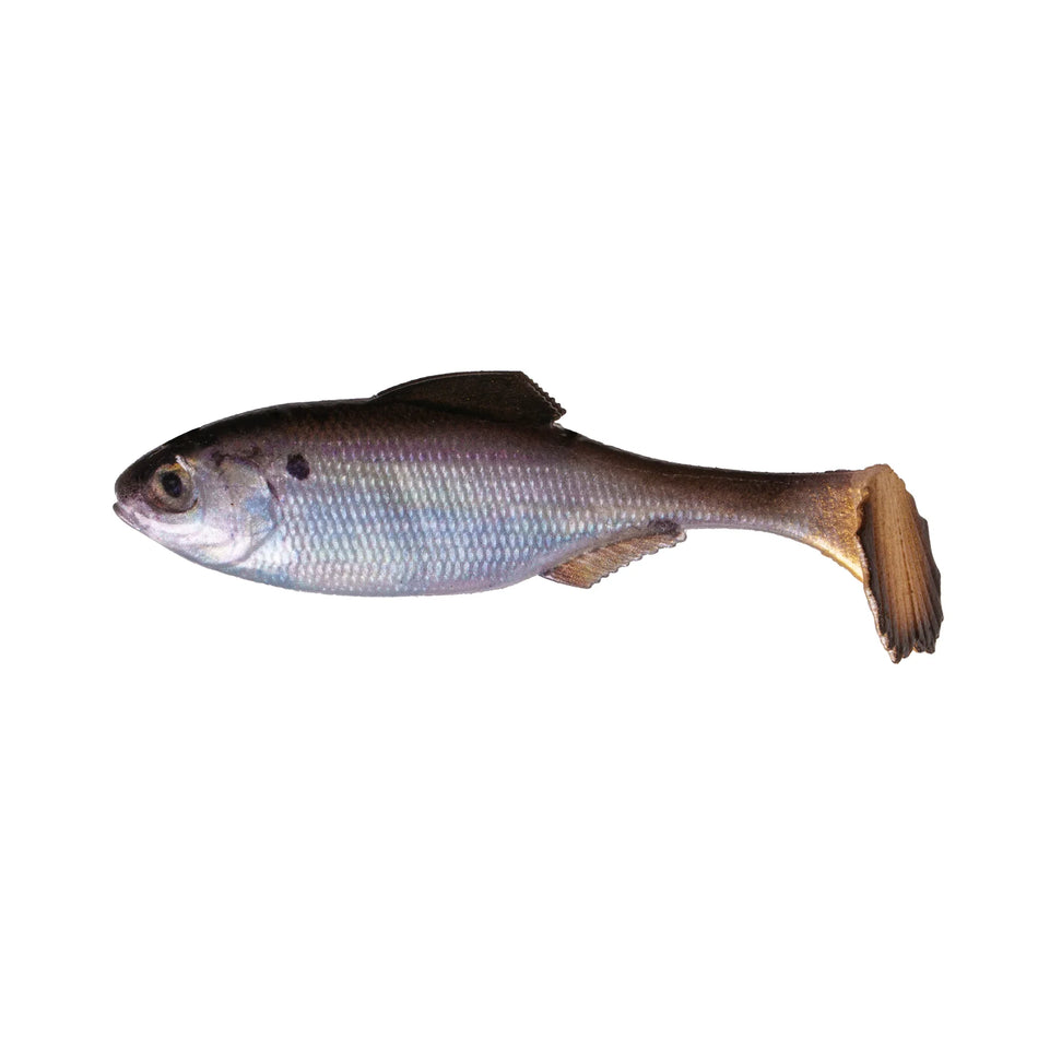 6TH Sense Panorama Swimbait - Unrigged