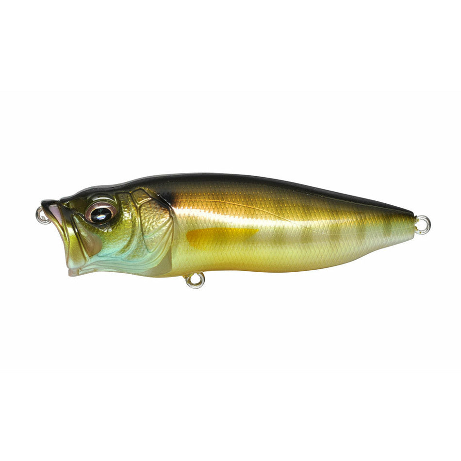 Megabass Popmax - Copperstate Tackle
