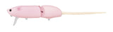 Evergreen Combat Rat