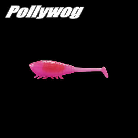 DRANCKRAZY Pollywog